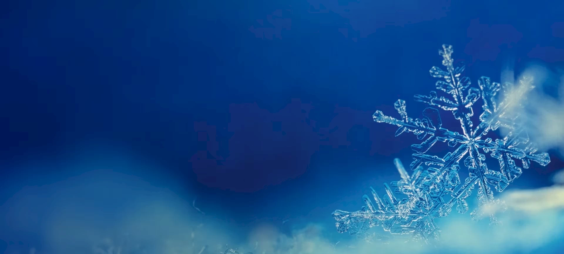 PEUGEOT BATTERIE- UND WINTERCHECK